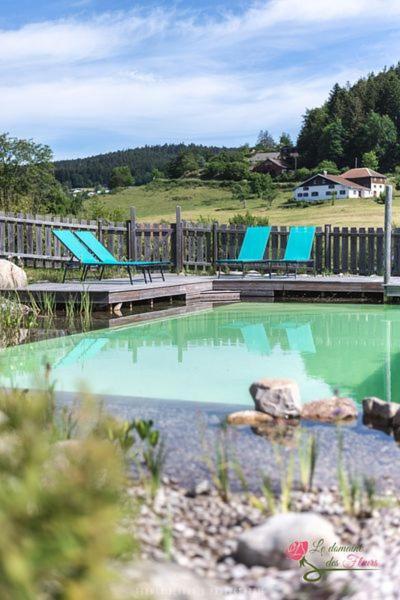 Le Domaine Des Fleurs - Appartement La Gentiane Жерарме Екстер'єр фото